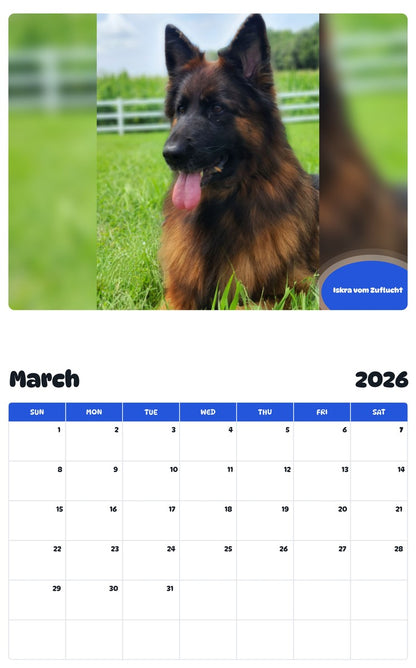 November 2025 - October 2026 Iskra vom Zuflucht - Pawidols Pet Calendar