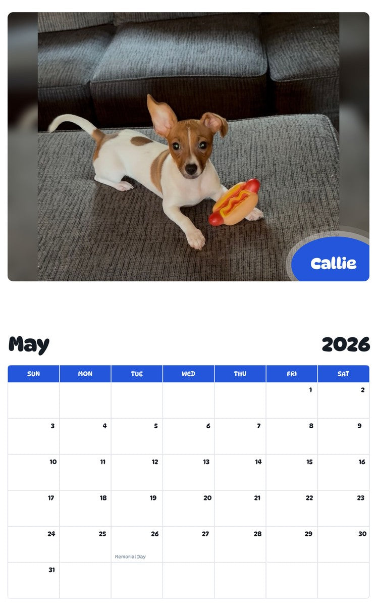 2026 - 2027 Callie - Pawidols Pet Calendar