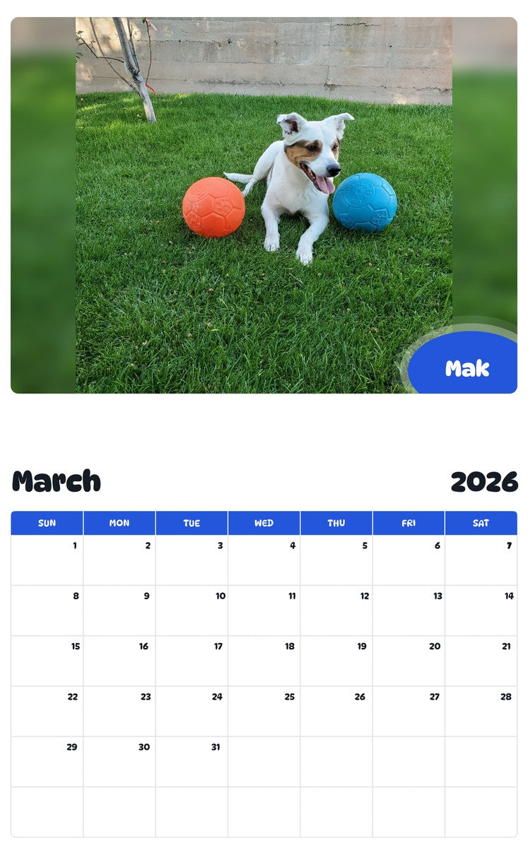 November 2025 - October 2026 Mak - Pawidols Pet Calendar