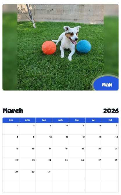 November 2025 - October 2026 Mak - Pawidols Pet Calendar