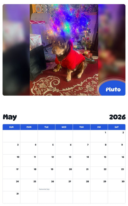 2026 - 2027 Pluto - Pawidols Pet Calendar