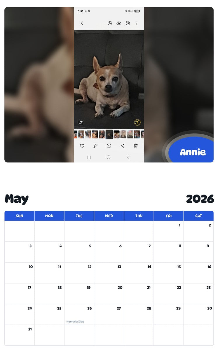 2026 - 2027 Annie - Pawidols Pet Calendar