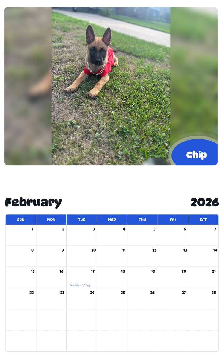 October 2025 - September 2026 Chip - Pawidols Pet Calendar