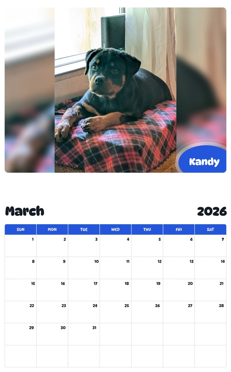 November 2025 - October 2026 Kandy - Pawidols Pet Calendar
