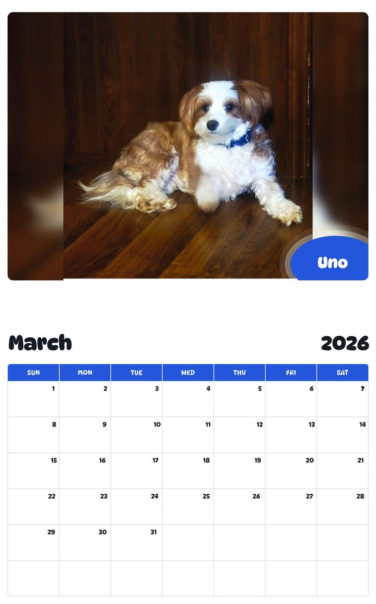 November 2025 - October 2026 Uno - Pawidols Pet Calendar