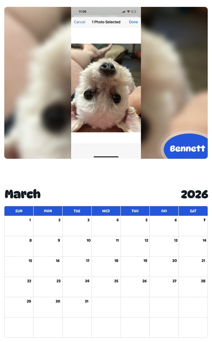 November 2025 - October 2026 Bennett - Pawidols Pet Calendar