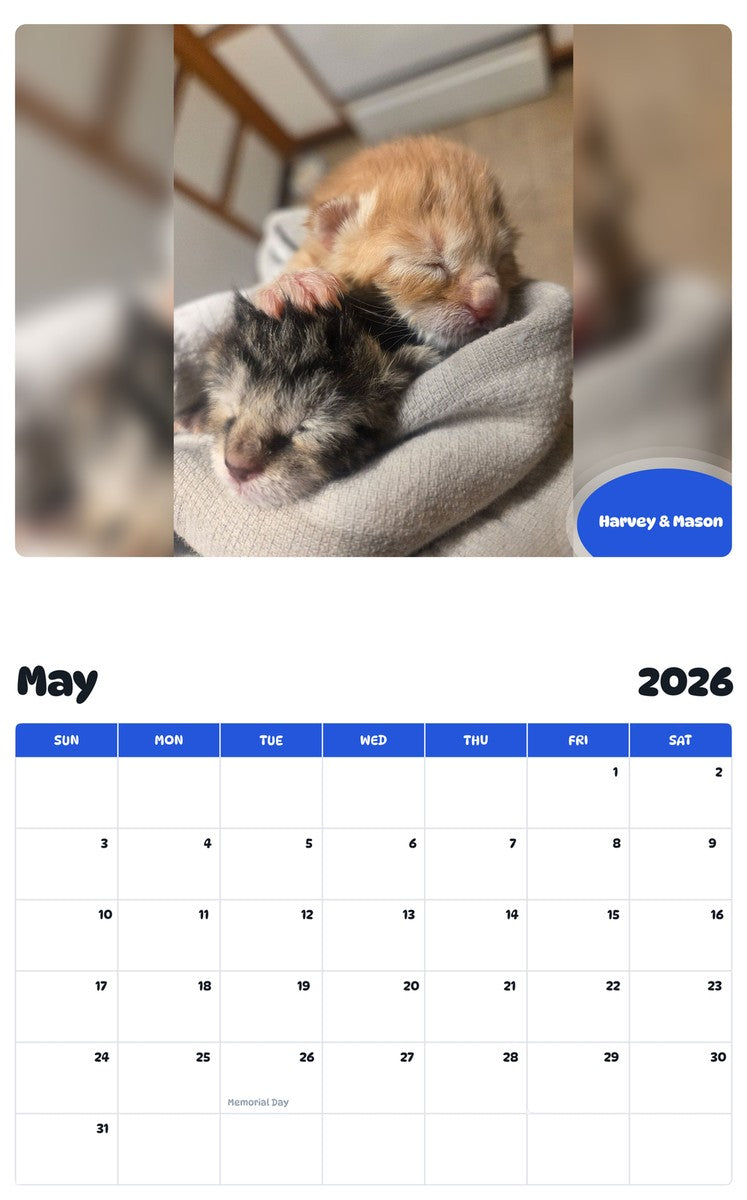 2026 - 2027 Harvey & Mason - Pawidols Pet Calendar