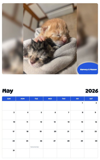 2026 - 2027 Harvey & Mason - Pawidols Pet Calendar