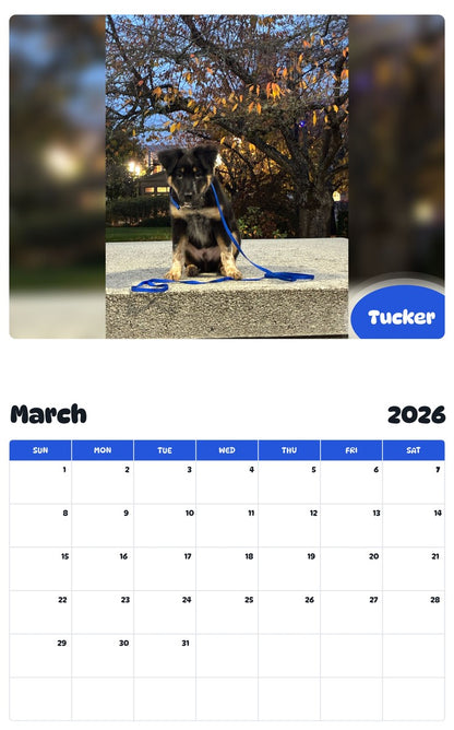 November 2025 - October 2026 Tucker - Pawidols Pet Calendar