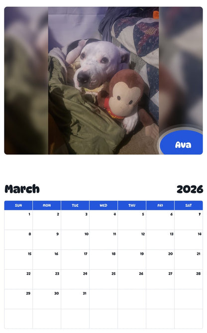 November 2025 - October 2026 Ava - Pawidols Pet Calendar