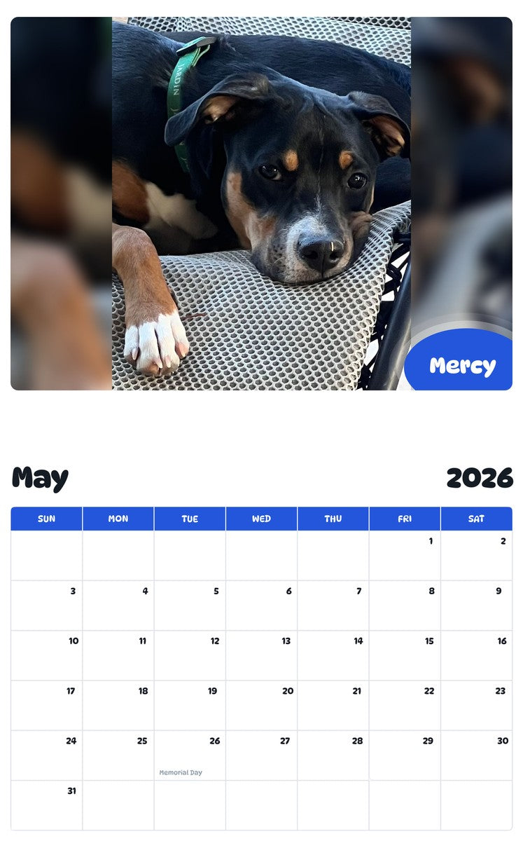 2026 - 2027 Mercy - Pawidols Pet Calendar