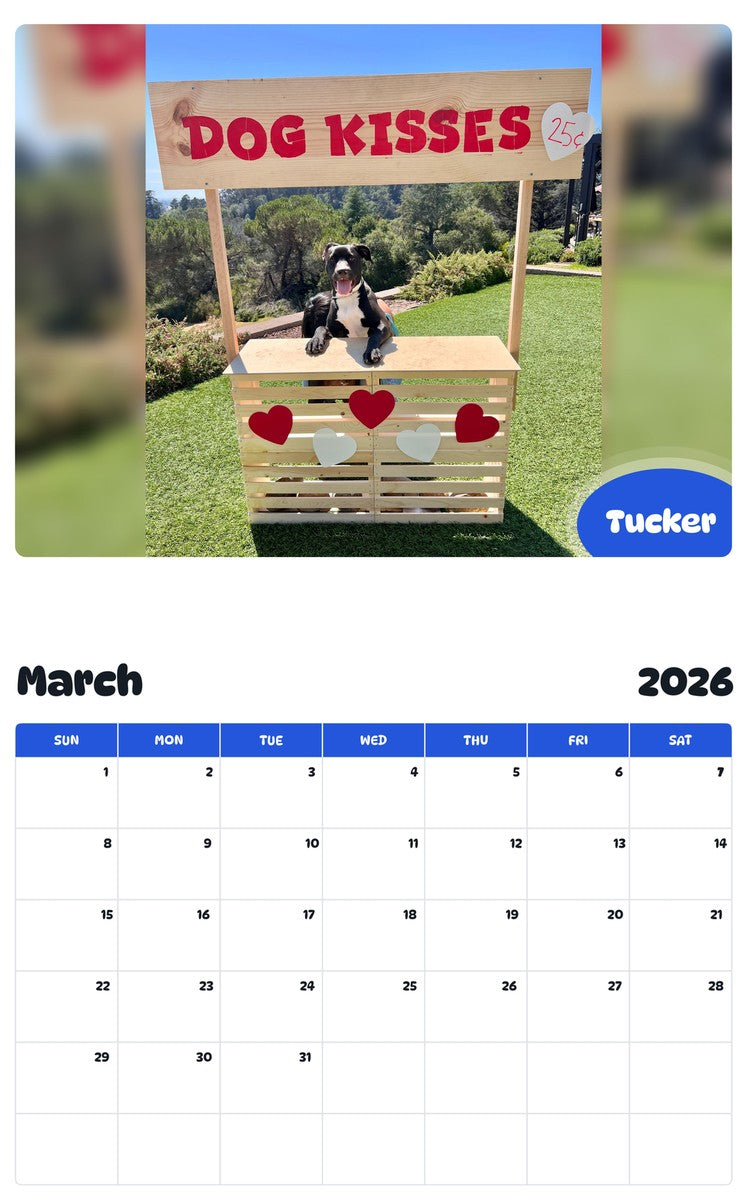 November 2025 - October 2026 Tucker - Pawidols Pet Calendar
