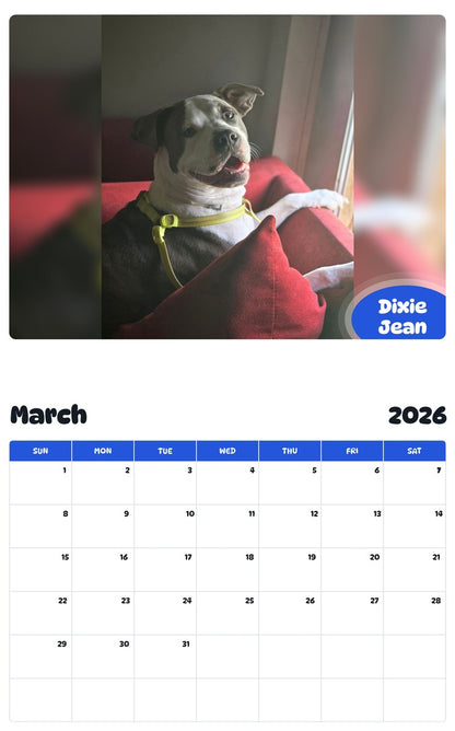 November 2025 - October 2026 Dixie Jean - Pawidols Pet Calendar