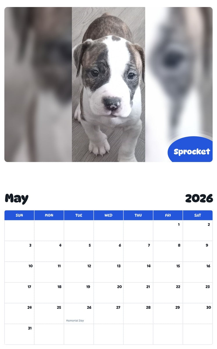 2026 - 2027 Sprocket - Pawidols Pet Calendar