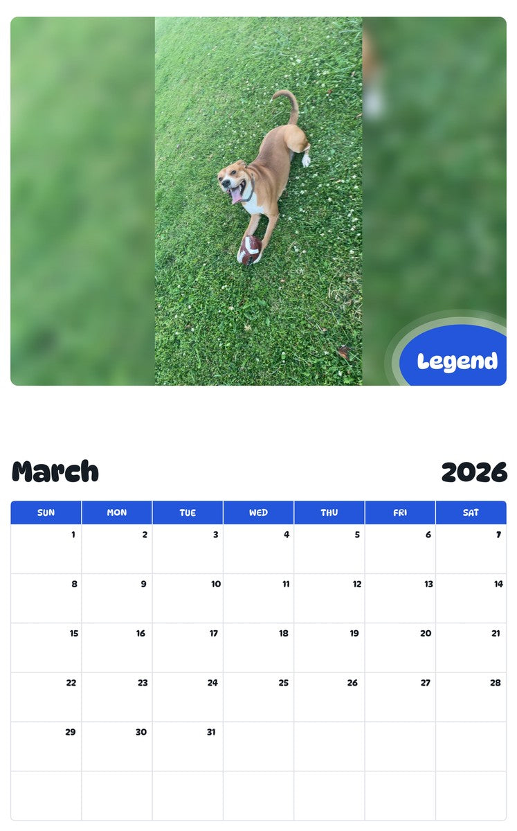 November 2025 - October 2026 Legend - Pawidols Pet Calendar