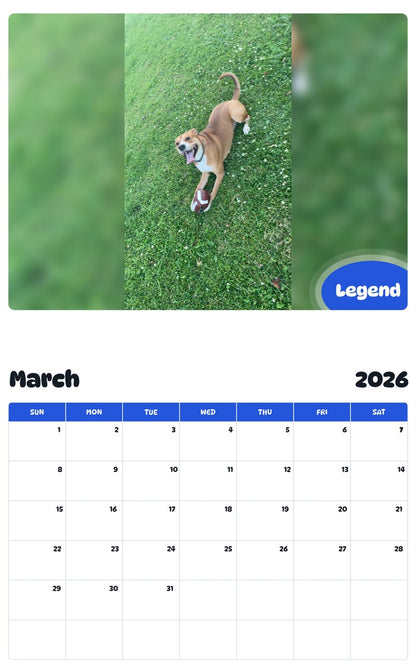 November 2025 - October 2026 Legend - Pawidols Pet Calendar