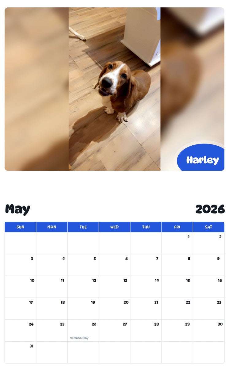 2026 - 2027 Harley - Pawidols Pet Calendar