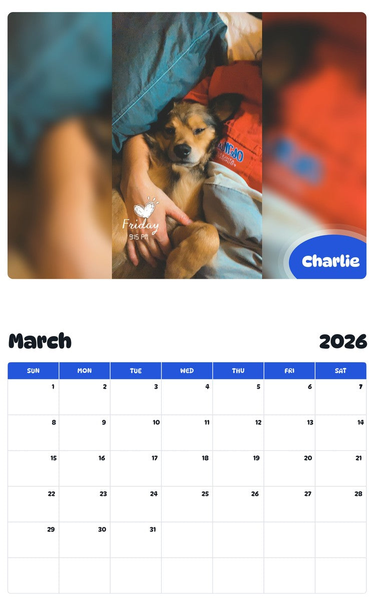 November 2025 - October 2026 Charlie - Pawidols Pet Calendar
