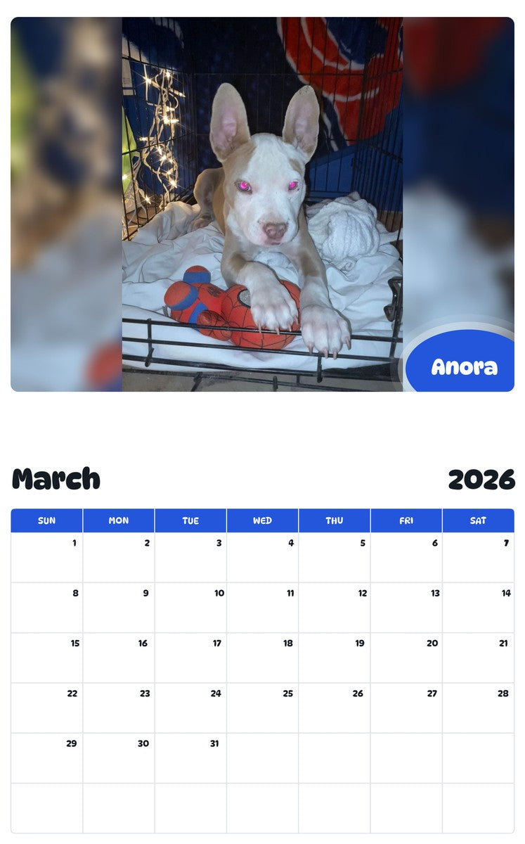 November 2025 - October 2026 Anora - Pawidols Pet Calendar
