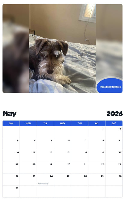2026 - 2027 Bella Luna Hembree - Pawidols Pet Calendar