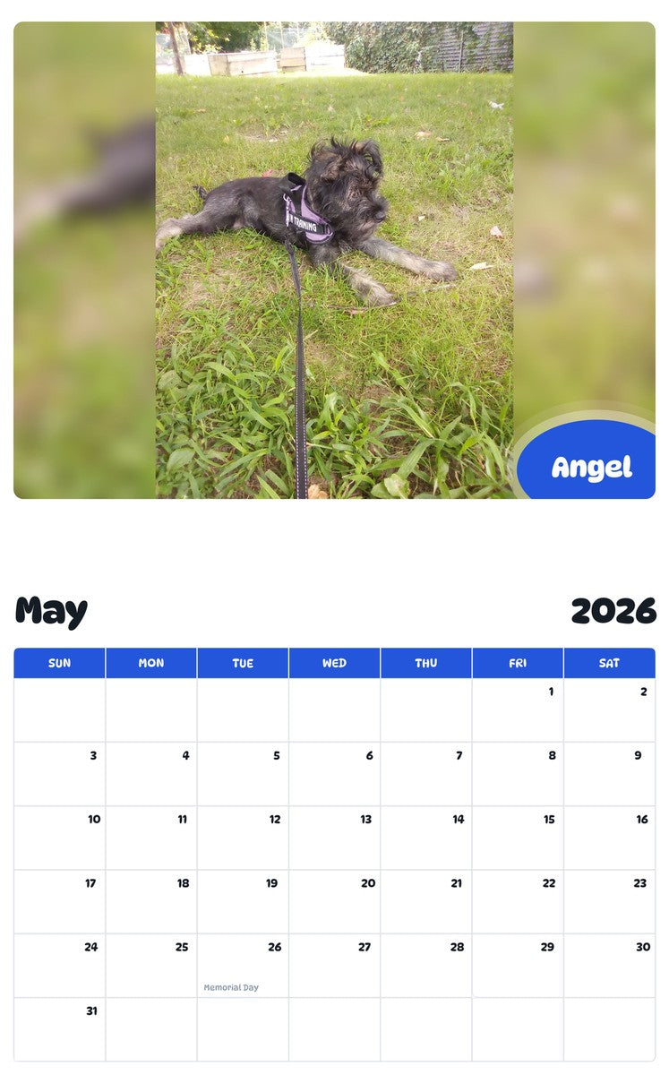 2026 - 2027 Angel - Pawidols Pet Calendar