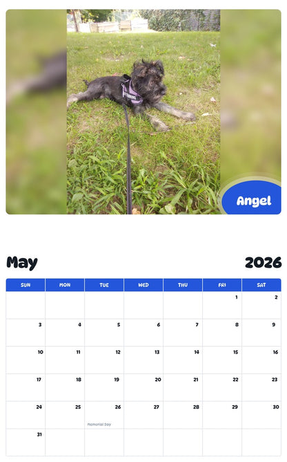 2026 - 2027 Angel - Pawidols Pet Calendar
