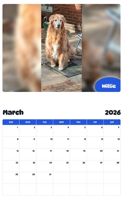 November 2025 - October 2026 Willie - Pawidols Pet Calendar