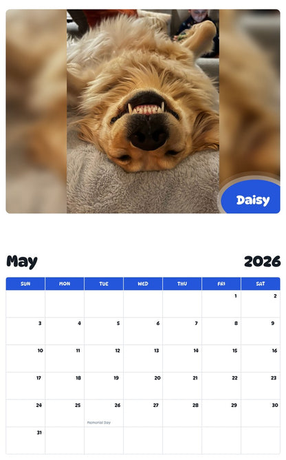 2026 - 2027 Daisy - Pawidols Pet Calendar