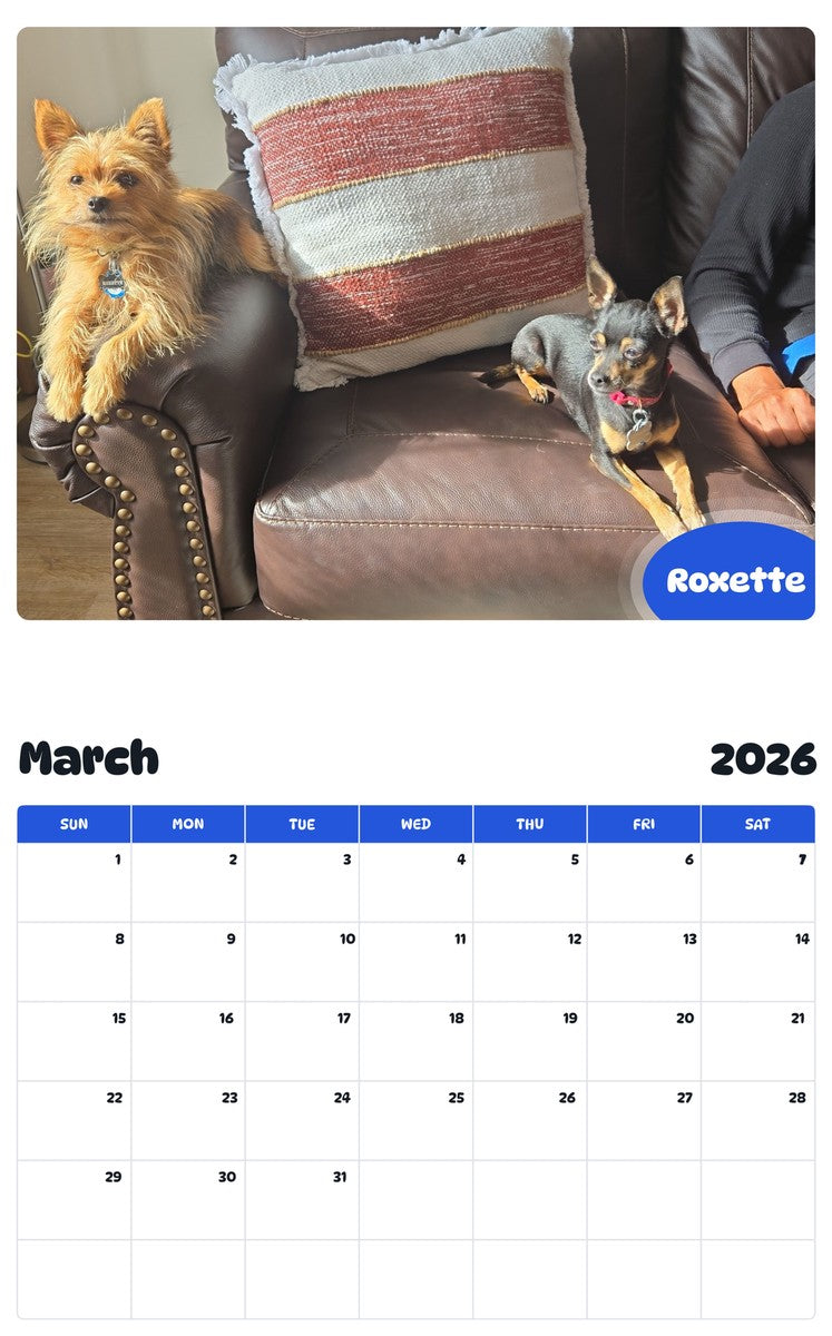 November 2025 - October 2026 Roxette - Pawidols Pet Calendar