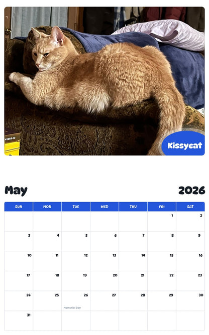 2026 - 2027 Kissycat - Pawidols Pet Calendar