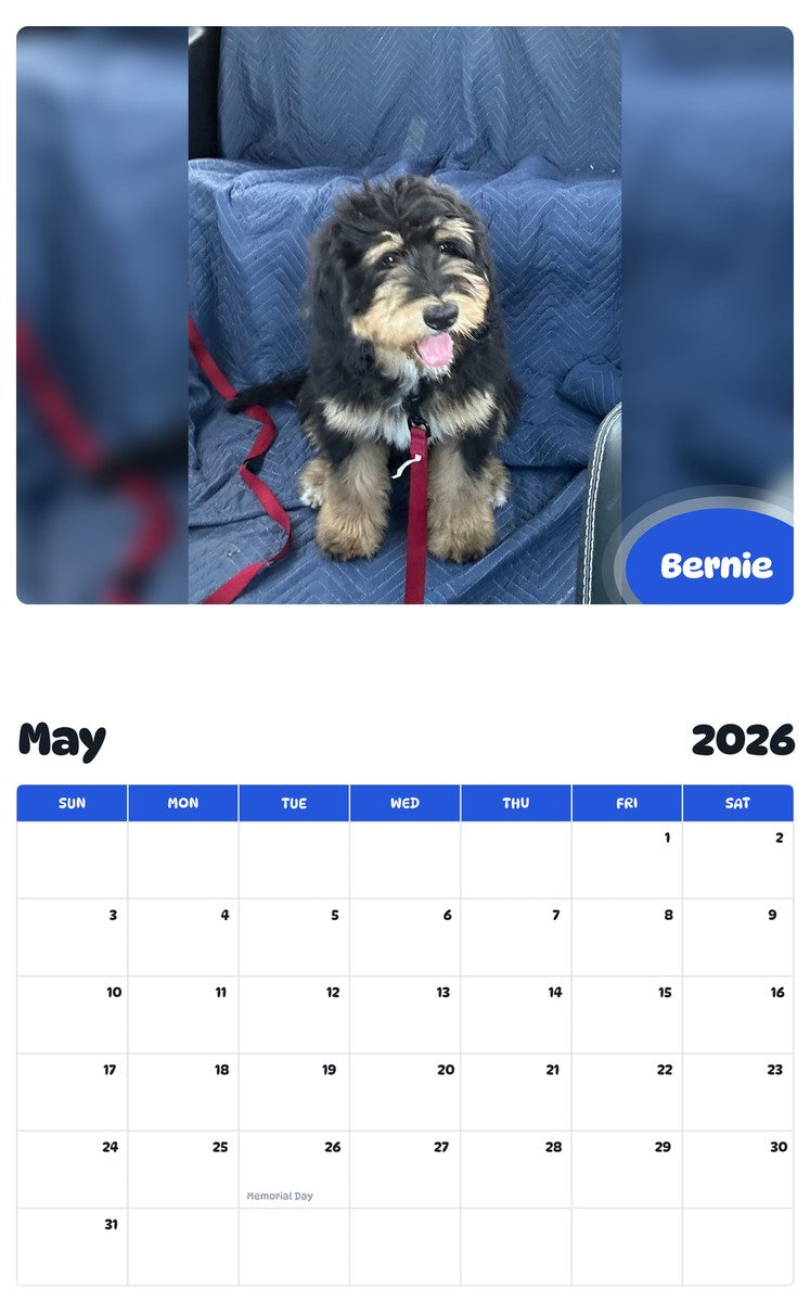 2026 - 2027 Bernie - Pawidols Pet Calendar