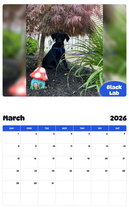 November 2025 - October 2026 Black Lab - Pawidols Pet Calendar