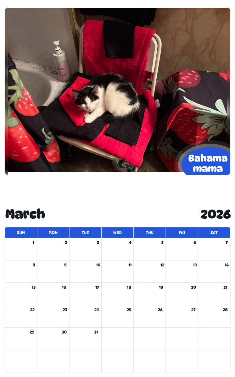 November 2025 - October 2026 Bahama mama - Pawidols Pet Calendar