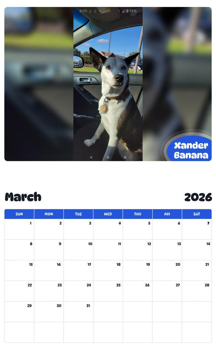 November 2025 - October 2026 Xander Banana - Pawidols Pet Calendar