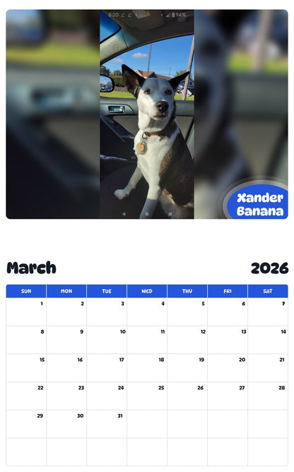 November 2025 - October 2026 Xander Banana - Pawidols Pet Calendar