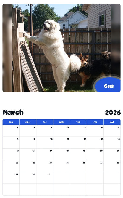 November 2025 - October 2026 Gus - Pawidols Pet Calendar
