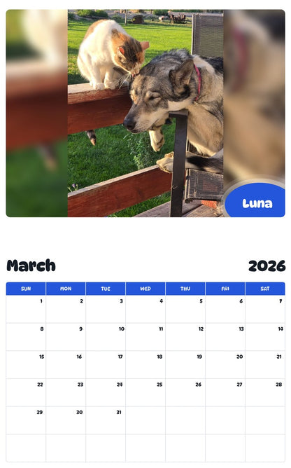November 2025 - October 2026 Luna - Pawidols Pet Calendar