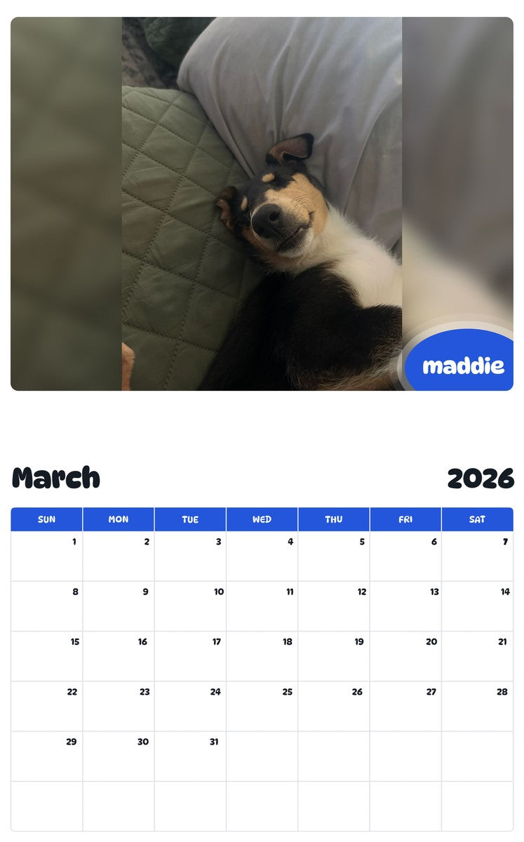 November 2025 - October 2026 maddie - Pawidols Pet Calendar