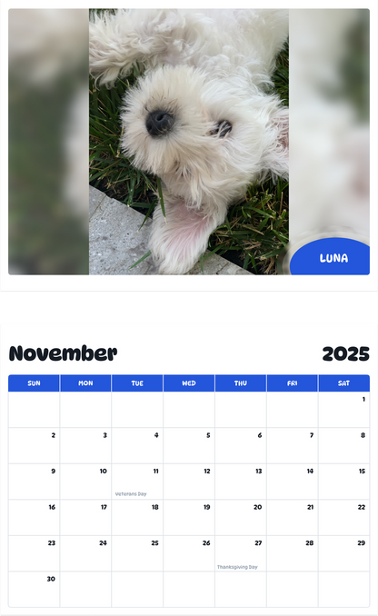 July 2025 - June 2026 Luna - Pawidols Pet Calendar