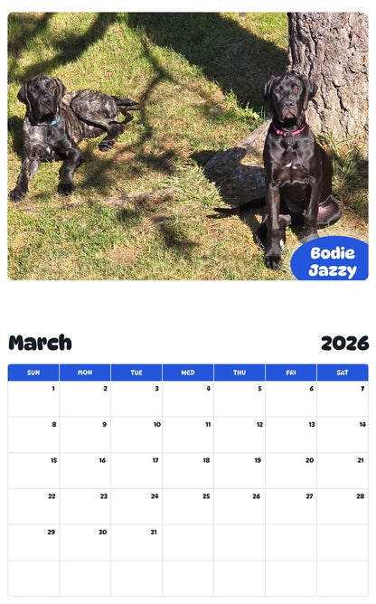 November 2025 - October 2026 Bodie Jazzy - Pawidols Pet Calendar