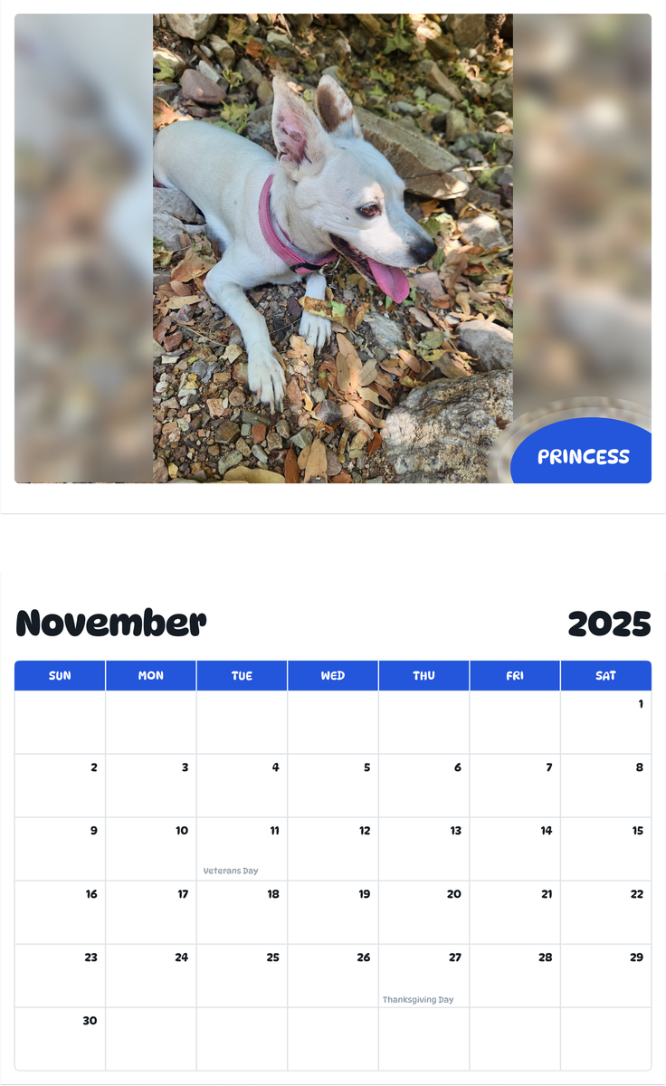 July 2025 - June 2026 Princess - Pawidols Pet Calendar