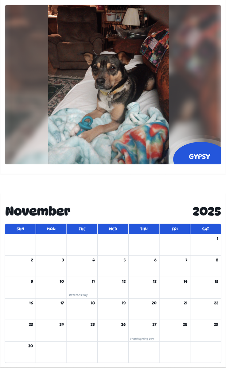 July 2025 - June 2026 Gypsy - Pawidols Pet Calendar
