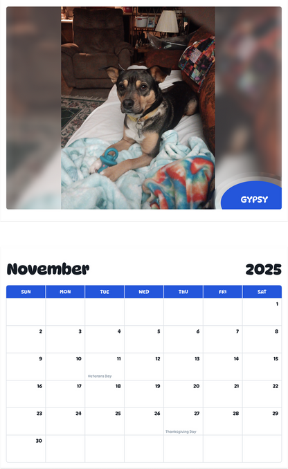 July 2025 - June 2026 Gypsy - Pawidols Pet Calendar