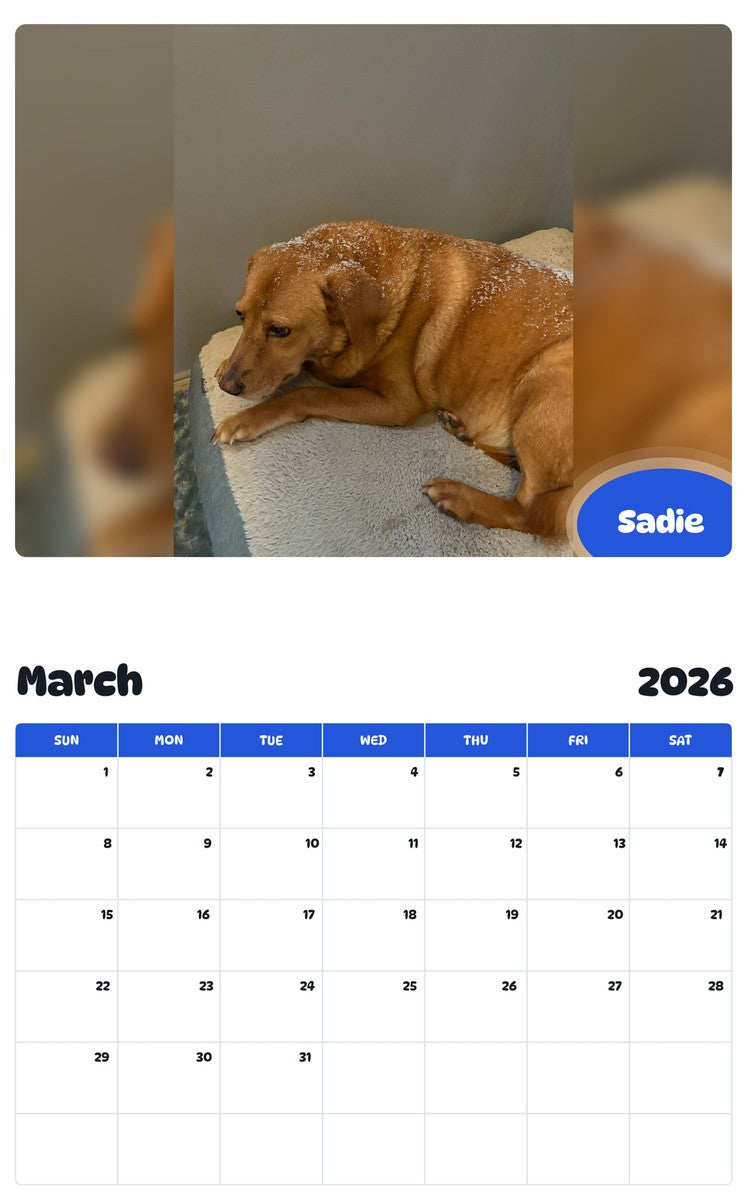 November 2025 - October 2026 Sadie - Pawidols Pet Calendar