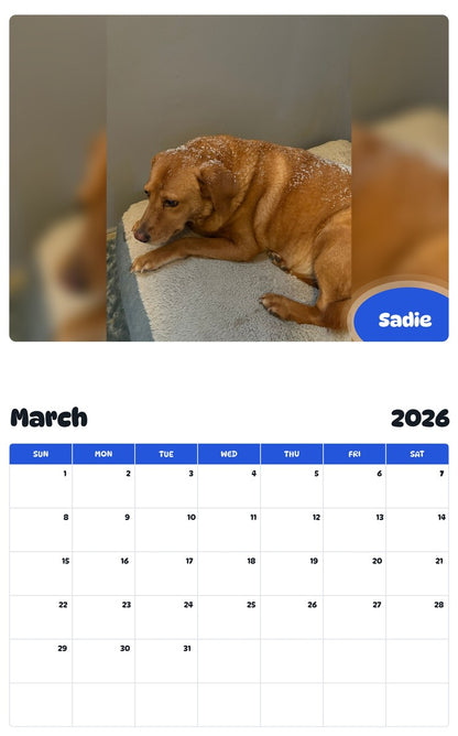 November 2025 - October 2026 Sadie - Pawidols Pet Calendar