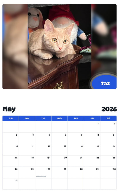 2026 - 2027 Taz - Pawidols Pet Calendar