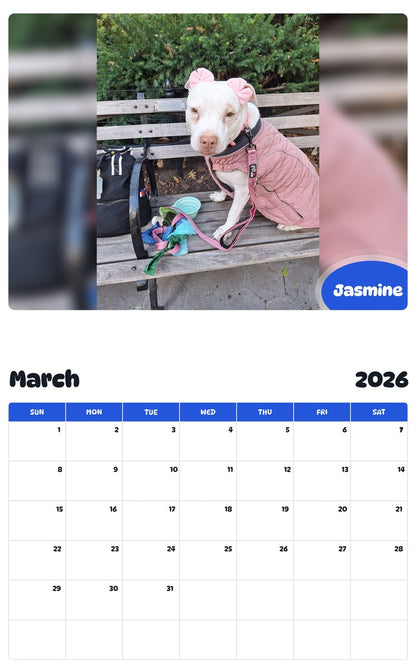 November 2025 - October 2026 Jasmine - Pawidols Pet Calendar