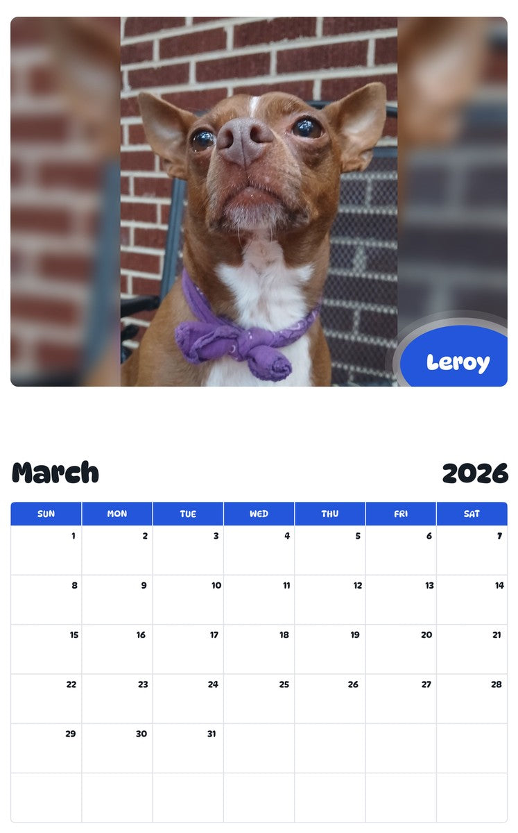 November 2025 - October 2026 Leroy - Pawidols Pet Calendar