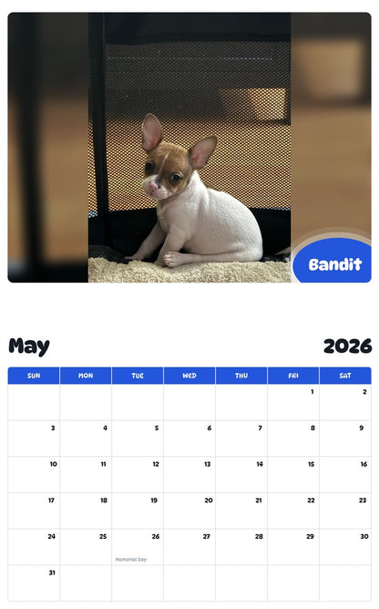 2026 - 2027 Bandit - Pawidols Pet Calendar