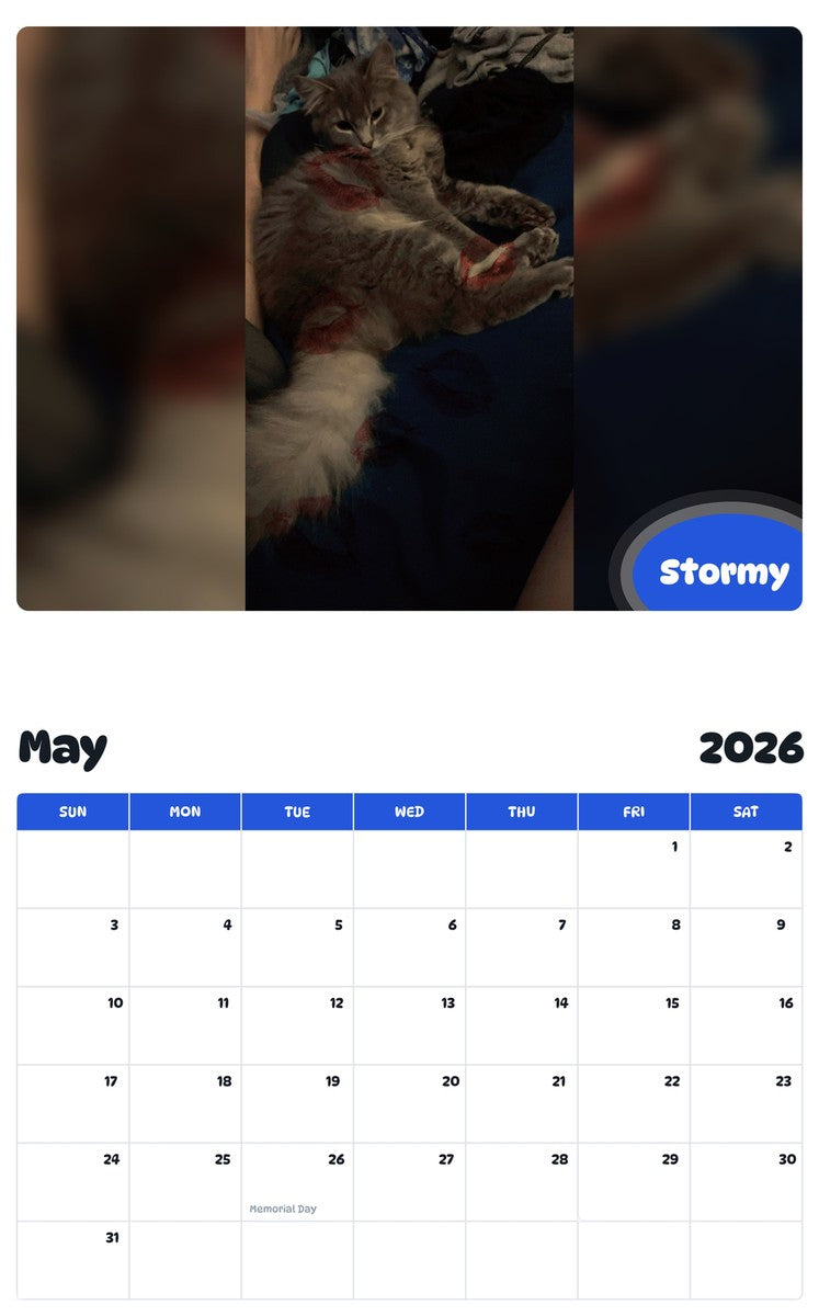 2026 - 2027 Stormy - Pawidols Pet Calendar